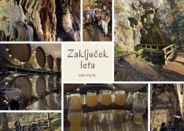 ZakljuceK leta 2025 EMO FRITE